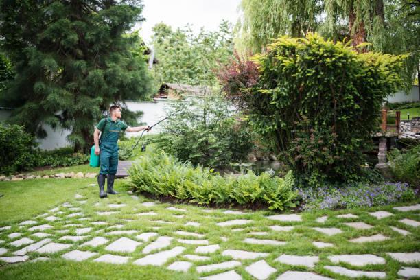Best Fruit Tree Pruning  in Sonterra, TX