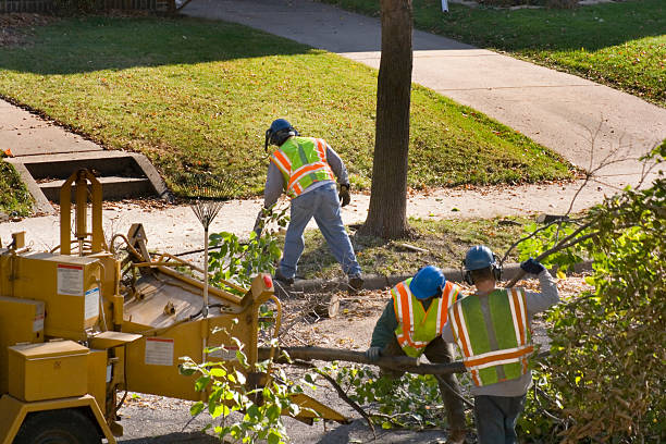 Best Lawn Maintenance Plans  in Sonterra, TX